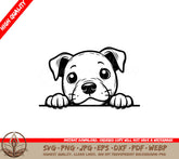 Peekaboo Pitbull SVG - Digital Product in Multiple File Formats